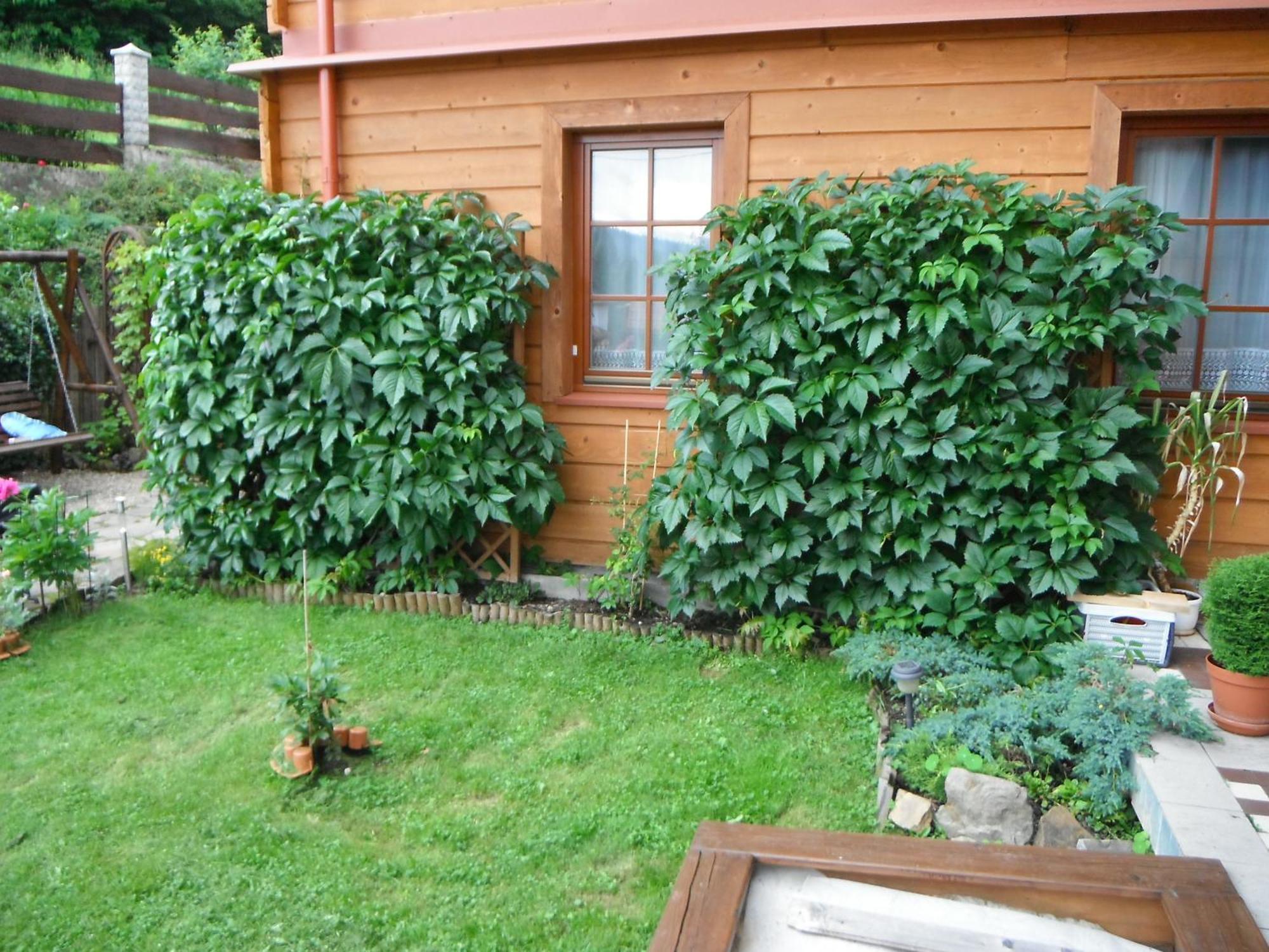 Dom Goscinny Dudek Krynica Zdroj Ngoại thất bức ảnh